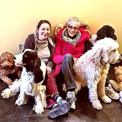 Metro Dogstop - Cuddle-puddles are always on the schedule.