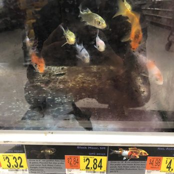 Walmart Supercenter - Algae - Department Stores Near Me - Chula Vista, California Walmart Supercenter - Algae - Department Stores Near Me - Chula Vista, California