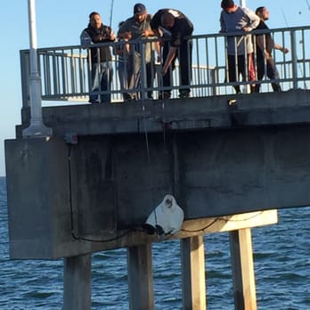 Aqua Link - Stingray caught @ Belmont Pier - Boating Near Me