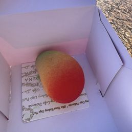 Fruit Mousse (Mango Madness) Fruit Mousse (Mango Madness)