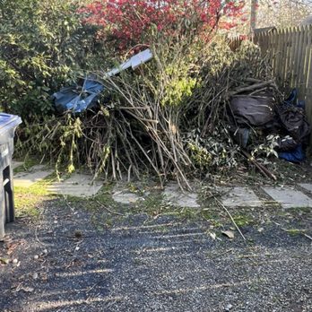 Fredys Hauling - Customer had some small trees and some brush & leave to be removed - Junk Removal & Hauling Near Me Fredys Hauling - Customer had some small trees and some brush & leave to be removed - Junk Removal & Hauling Near Me