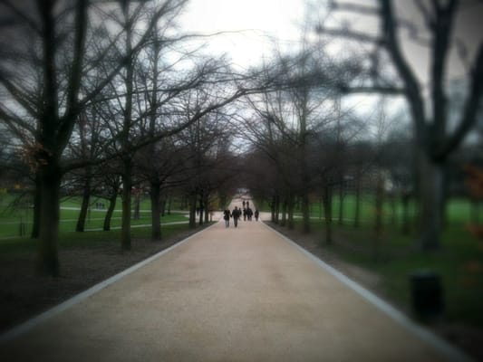 Greenwich Park by null