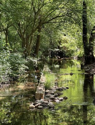 Neuschwanstein Castle by null