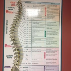Alternative Physical Therapy