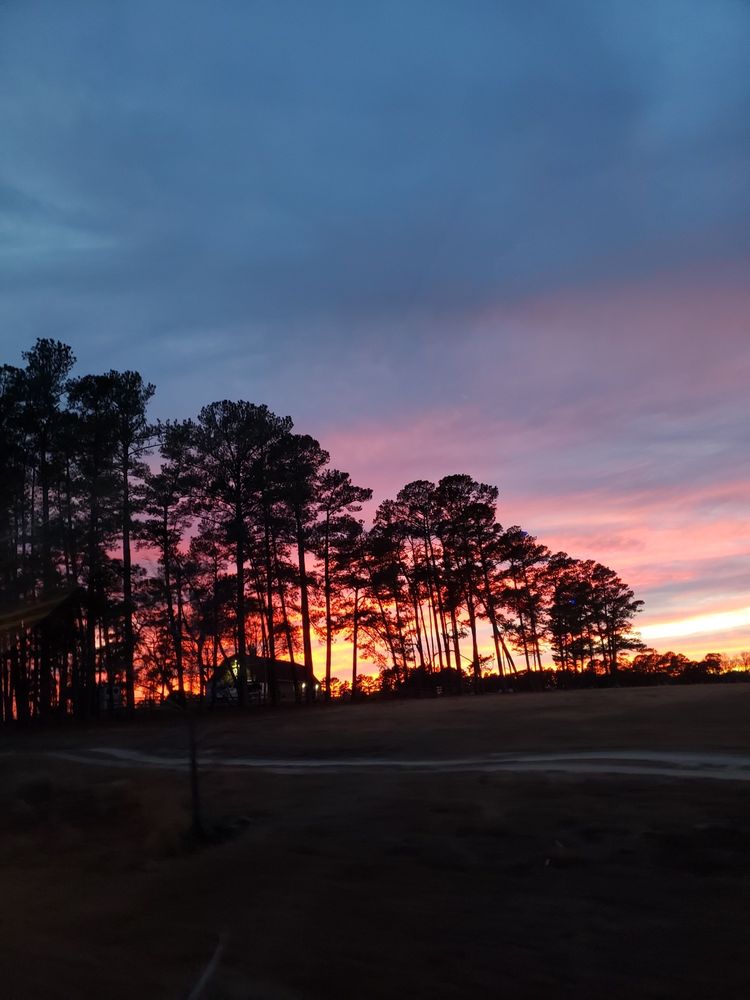 FREEDOM FARMS Updated September 2024 12 Photos 8501 Ramsey St, Linden, North Carolina