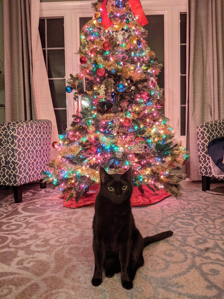 Valerie J Chalcraft, PhD - grief counselor in Chicago, IL