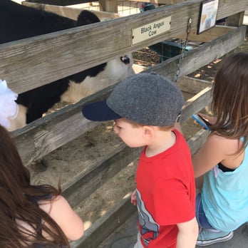 Randall Oaks Zoo - Zoos Near Me - West Dundee, Illinois Randall Oaks Zoo - Zoos Near Me - West Dundee, Illinois