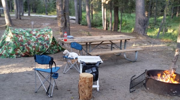 Tamarack Flat Campground by null