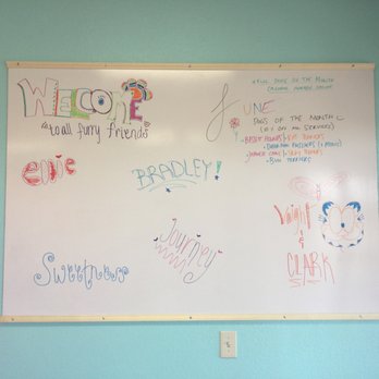 Groovy Pet Grooming - Pet Groomers Near Me - Mesa, Arizona
