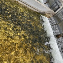 Moccasin Creek Trout Hatchery