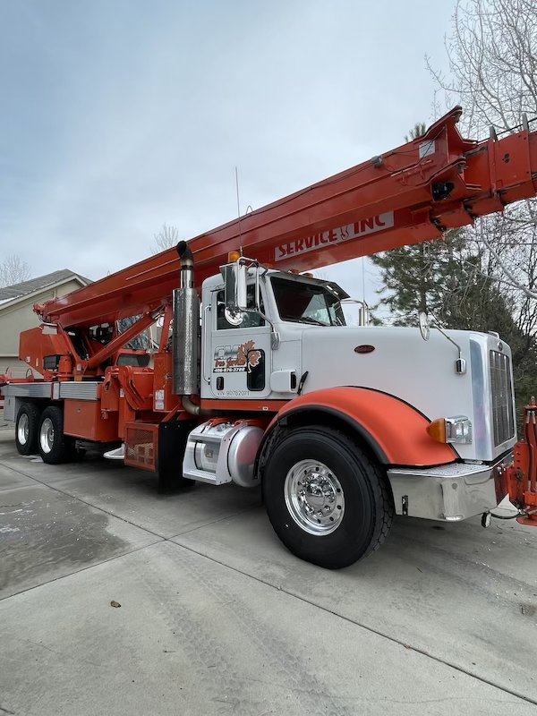 CM Tree Service and Removal - tree service in Billings, MT