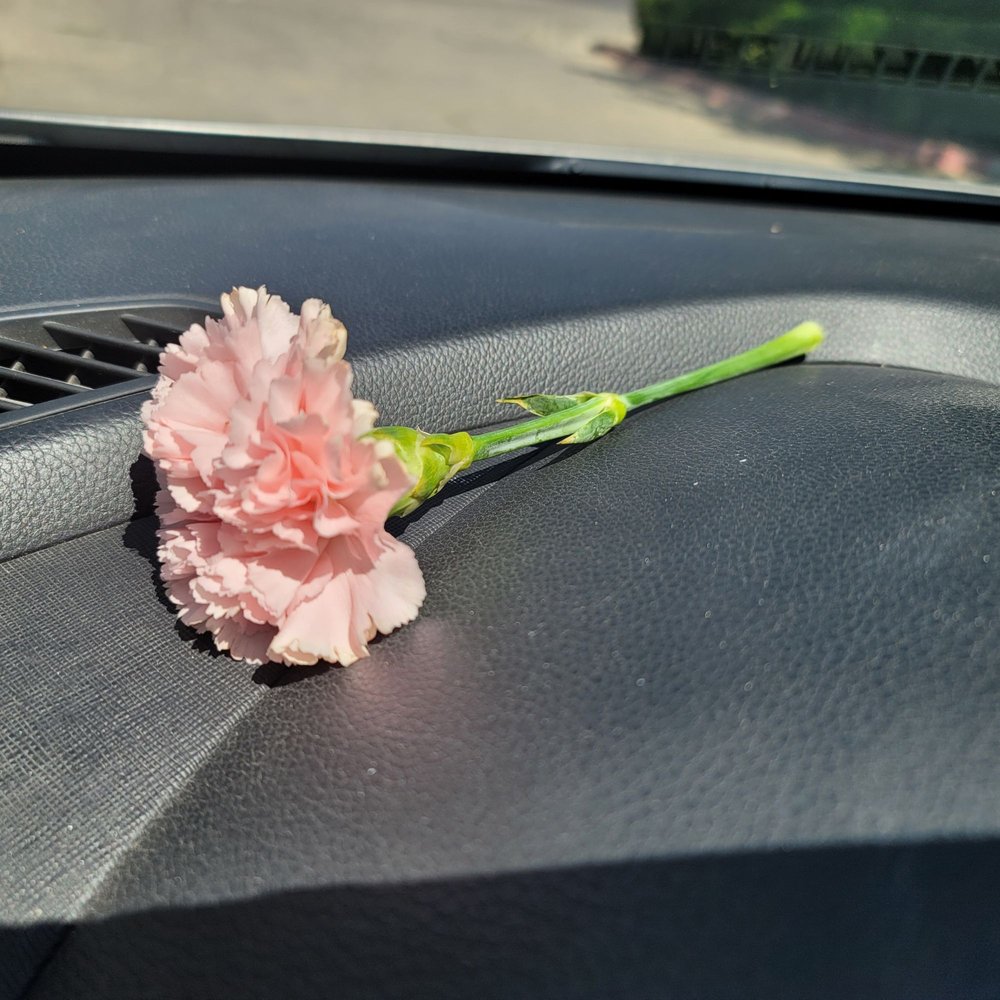 GREASE MONKEY Updated August 2024 21 Photos & 31 Reviews 10 River