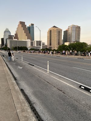 Congress Avenue Bridge by null