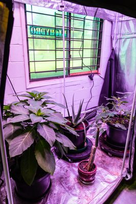 Li Hydro 3104 Express Dr S Islandia Ny Mapquest