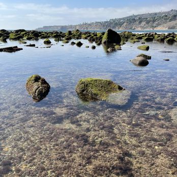 Abalone Cove Park - Parks Near Me - Rancho Palos Verdes, California