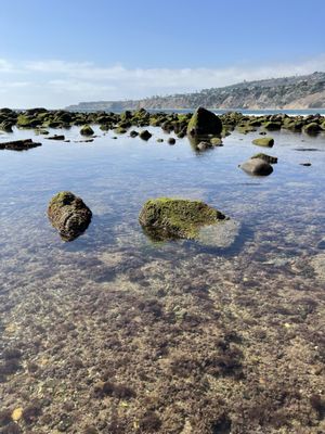 Abalone Cove Park by null