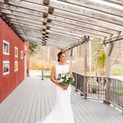 Willow Spring Vineyards