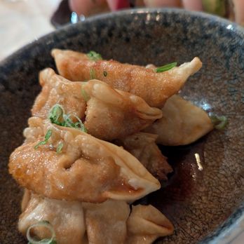 Bar Brava - Gyoza - Wine Bars Near Me - Minneapolis, Minnesota