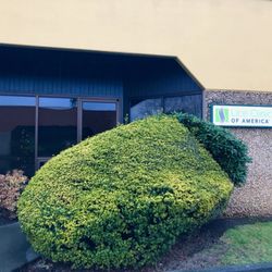 Lice Clinics of America - Kent - Welcome to our one stop lice treatment clinic in Kent! Each room is private and we have a coffee bar & big screen tv in our waiting area!