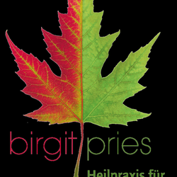 Heilpraxis Pries