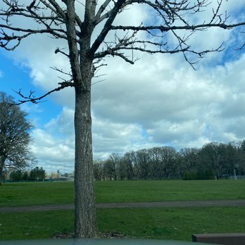 Bush's Pasture Park - Parks Near Me - Salem, Oregon