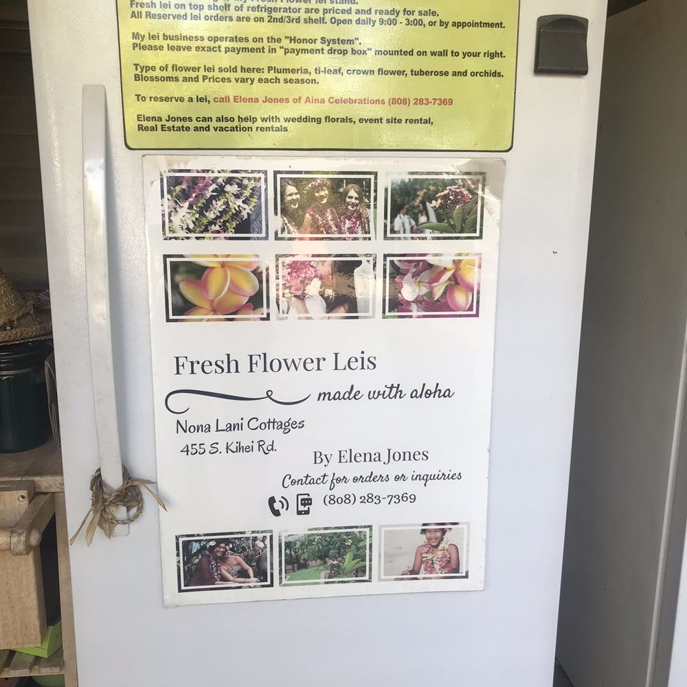 Fridge on property Fridge on property