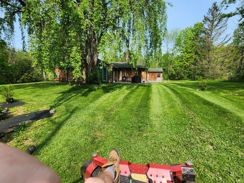 ELKINS LAWN CARE Updated May 2024 50 Meckler Rd, Napanoch, New York