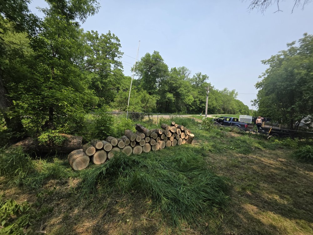 BENSON TREE SERVICES - Updated August 2025 - Request a Quote - 10 ...