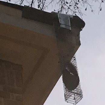 Cypress Critters & Pests - Pest Control Near Me
