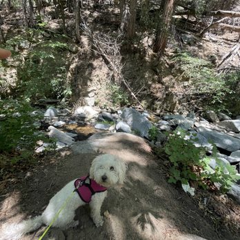 Heart Rock - Hiking Near Me - Crestline, California