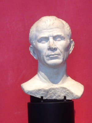 Museum of ancient Arles and Provence by null