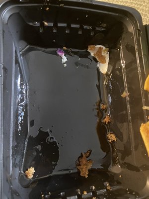 California Fish Grill by null