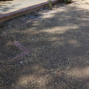 Isaac's Tree Service - Tree Services Near Me - colton, California Isaac's Tree Service - Tree Services Near Me - colton, California