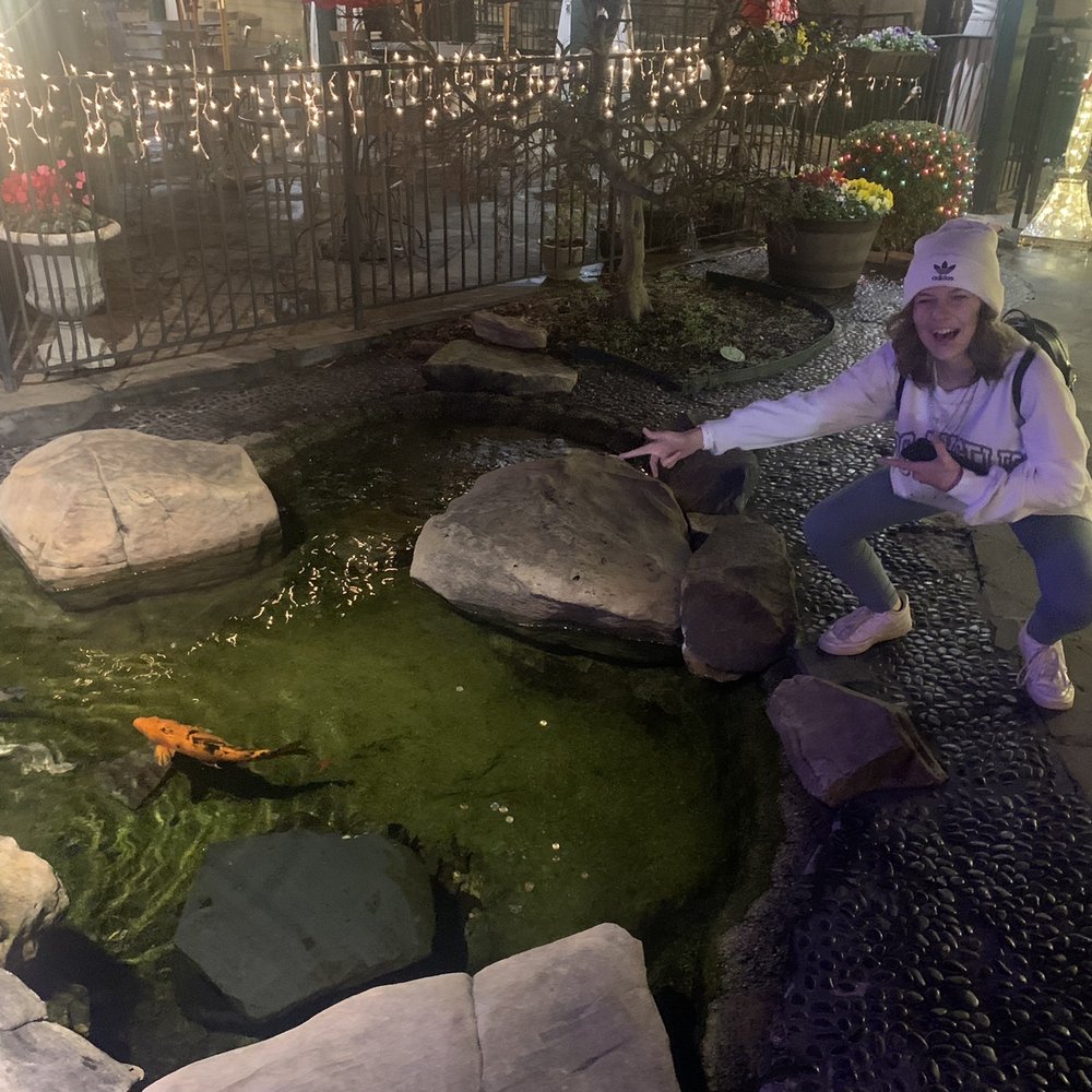 Orient Express - Awesome koi pond outside - Chinese Near Me - Atlanta, Georgia Orient Express - Awesome koi pond outside - Chinese Near Me - Atlanta, Georgia
