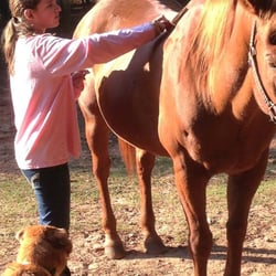 Cannon Equine Instruction - Getting ready to ride