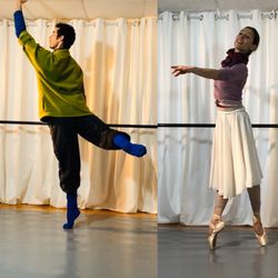 Integrarte - online ballet for adults and teens