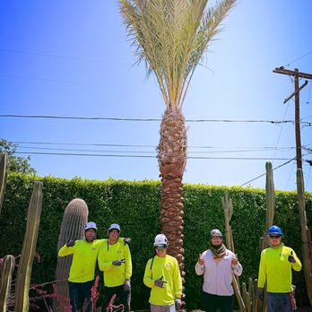 Moon Valley Nurseries - Johnny and Crew! - Nurseries & Gardening Near Me - Phoenix, Arizona