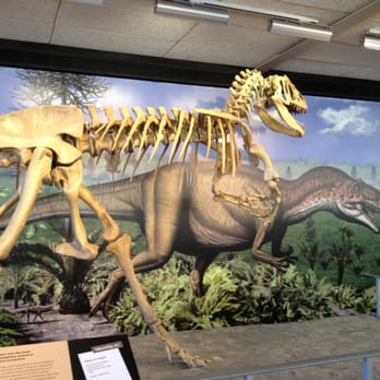 Dinosaur National Monument - Great display - Landmarks & Historical Buildings Near Me - Jensen, Utah Dinosaur National Monument - Great display - Landmarks & Historical Buildings Near Me - Jensen, Utah