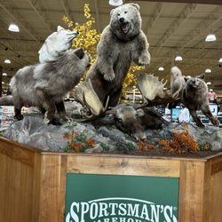 Sportsman's Warehouse - Taxidermy