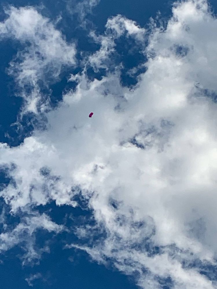 Flight Providers Logo