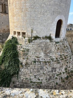 Castillo de Bellver by null
