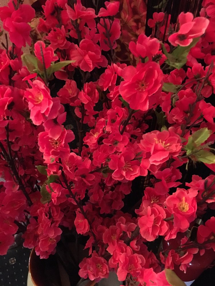 MR WOO CHINESE RESTAURANT Updated July 2024 High Street, Uttoxeter