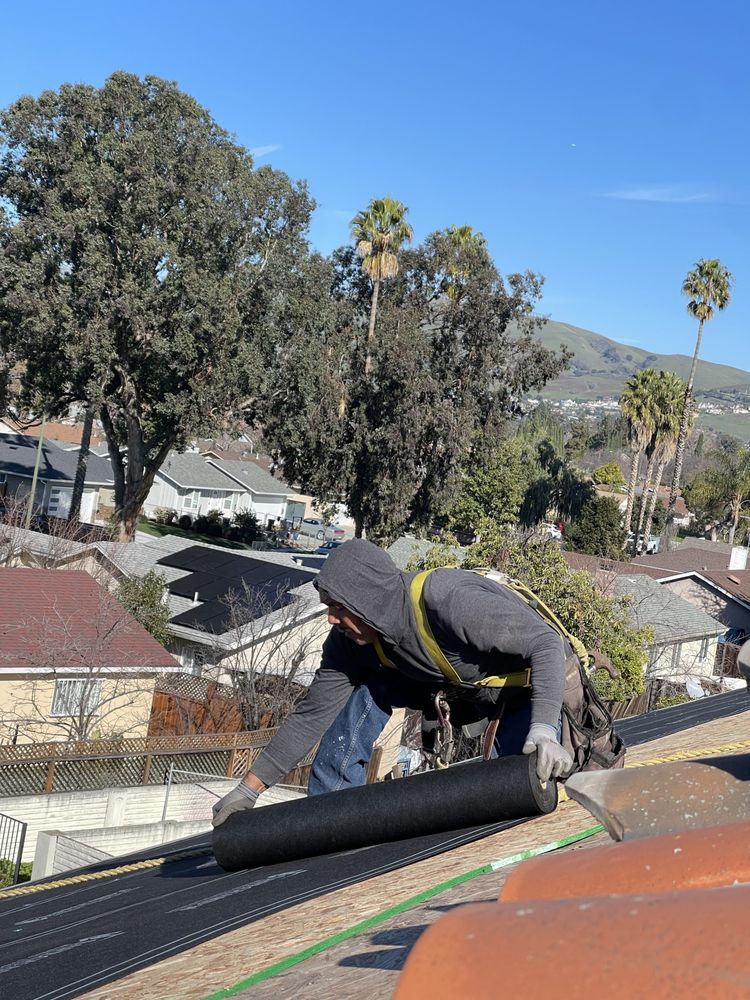 Slide of Leo's Handyman