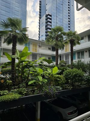 The Burrard by null