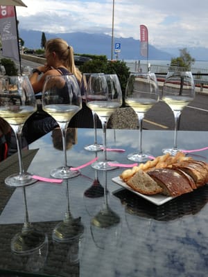 Lavaux Vinorama by null