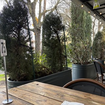 Cafe Dantorels - Privacy barrier - Cafes Near Me - Sacramento, California