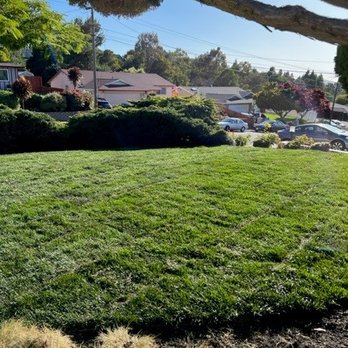 VR Pavers Landscape & General Construction - Walkway Shot of Lawn - Landscaping Near Me VR Pavers Landscape & General Construction - Walkway Shot of Lawn - Landscaping Near Me