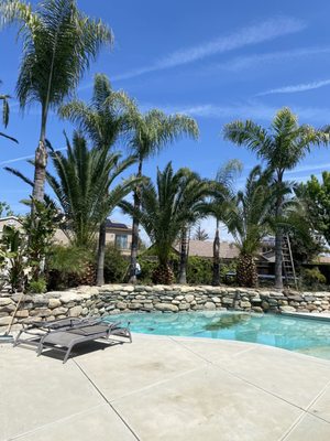 Palm Tree Services - Keep Your Palms Beautiful & Safe with Central Valley Tree Service!
At Central Valley Tree Service, we specialize in palm tree trimming, pruning, and removal to keep your property looking clean, safe, and well-maintained. Whether your palms need a seasonal cleanup or complete removal, our experienced team is here to help.
🌴 Expert Palm Tree Trimming
🌴 Safe & Efficient Palm Removal
🌴 Professional Pruning for Health & Appearance
🌴 Residential & Commercial Services
Serving the Central Valley with reliable, affordable tree care you can trust.
Call Central Valley Tree Service today for a free estimate! Palm Tree Services - Keep Your Palms Beautiful & Safe with Central Valley Tree Service!
At Central Valley Tree Service, we specialize in palm tree trimming, pruning, and removal to keep your property looking clean, safe, and well-maintained. Whether your palms need a seasonal cleanup or complete removal, our experienced team is here to help.
🌴 Expert Palm Tree Trimming
🌴 Safe & Efficient Palm Removal
🌴 Professional Pruning for Health & Appearance
🌴 Residential & Commercial Services
Serving the Central Valley with reliable, affordable tree care you can trust.
Call Central Valley Tree Service today for a free estimate!