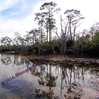 Apoxee Wilderness Trail - Grasses and trees provide contrasting colors, reflected in the water, along with the sky. - Hiking Near Me - West Palm Beach, Florida Apoxee Wilderness Trail - Grasses and trees provide contrasting colors, reflected in the water, along with the sky. - Hiking Near Me - West Palm Beach, Florida