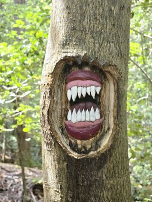 Tom Rhodes Tree Carving Trail